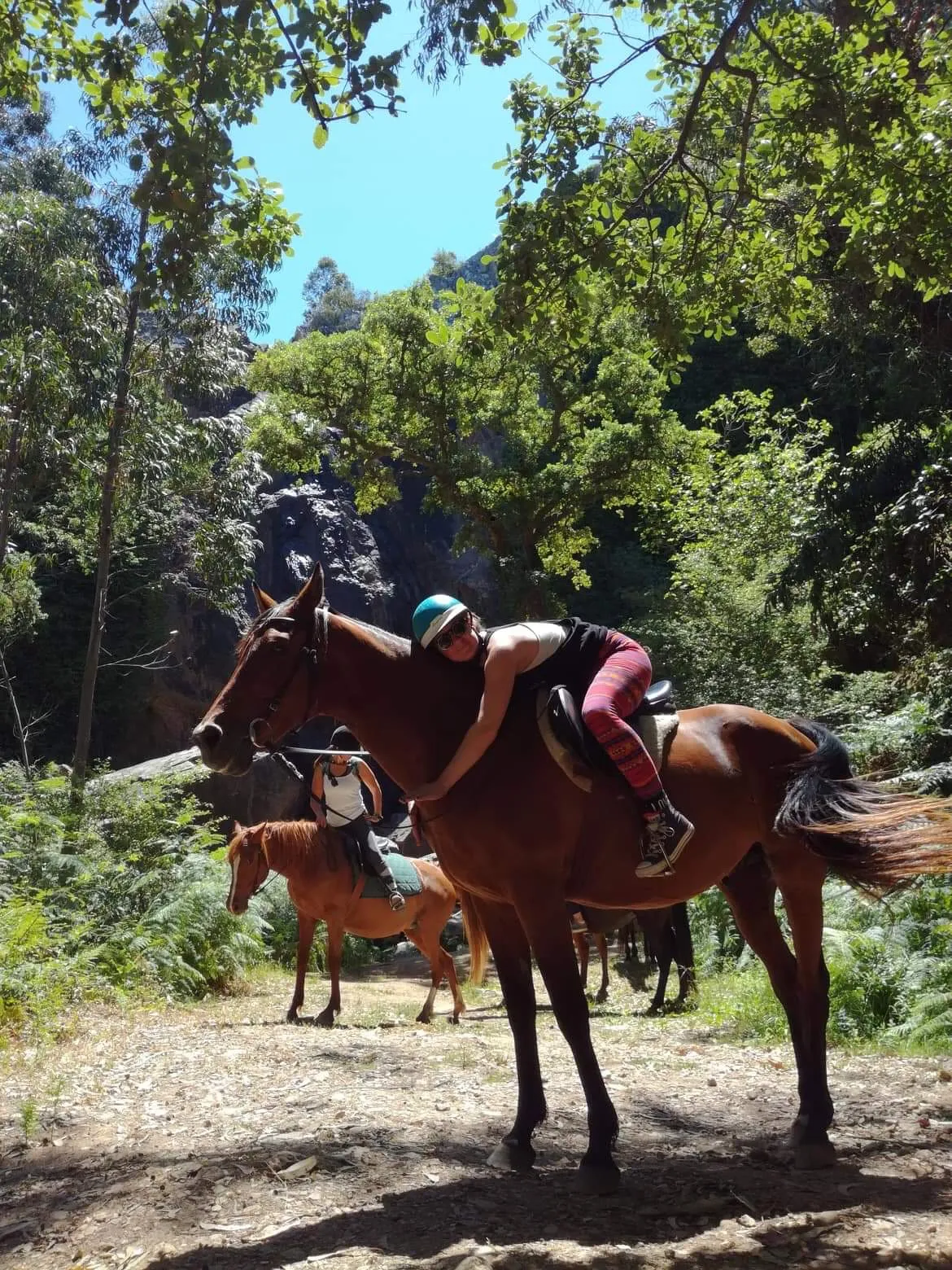 Riders on chestnut horses pausing along a forest trail surrounded by dense green canopy