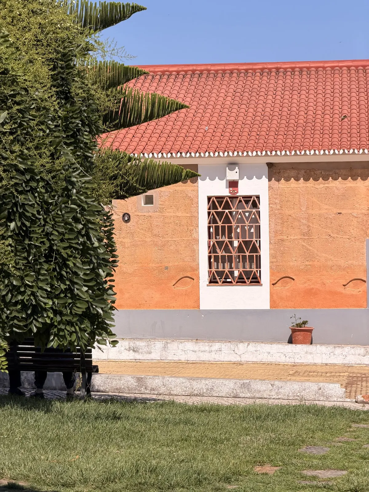 Sunlit ochre-walled Alentejo house with a red tiled roof and a decorative terracotta lattice window, a bench and tall shrubs on the green lawn under a clear blue sky