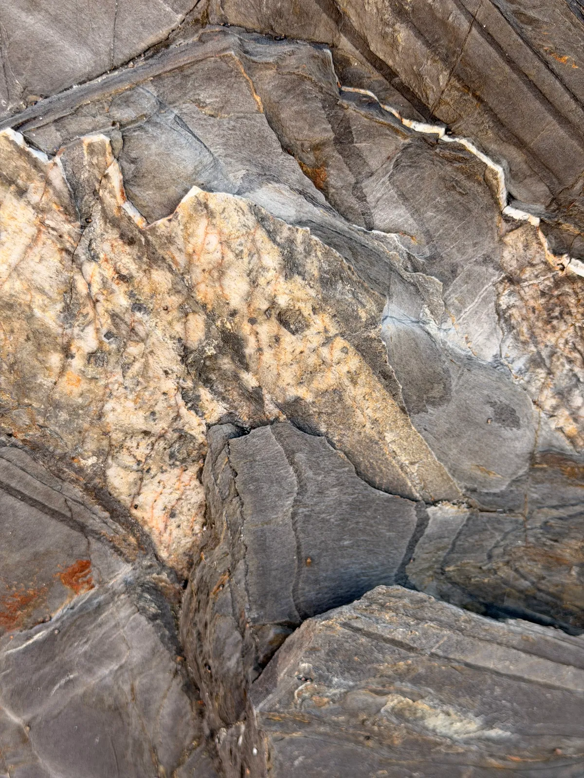 Close-up of weathered coastal rock showing layered grey and golden mineral strata