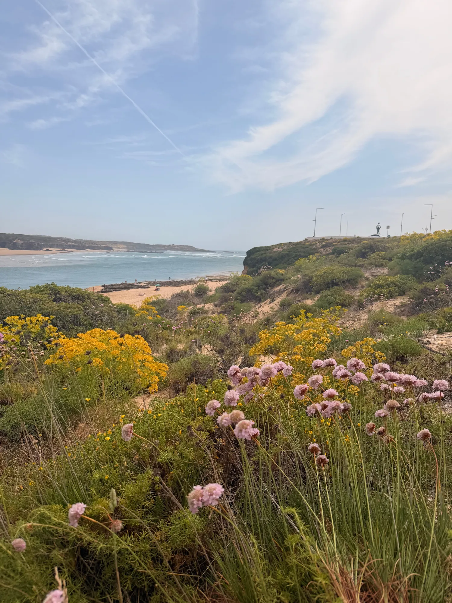 Wild pink and yellow spring flowers blooming across green Alentejo hills above the distant sea