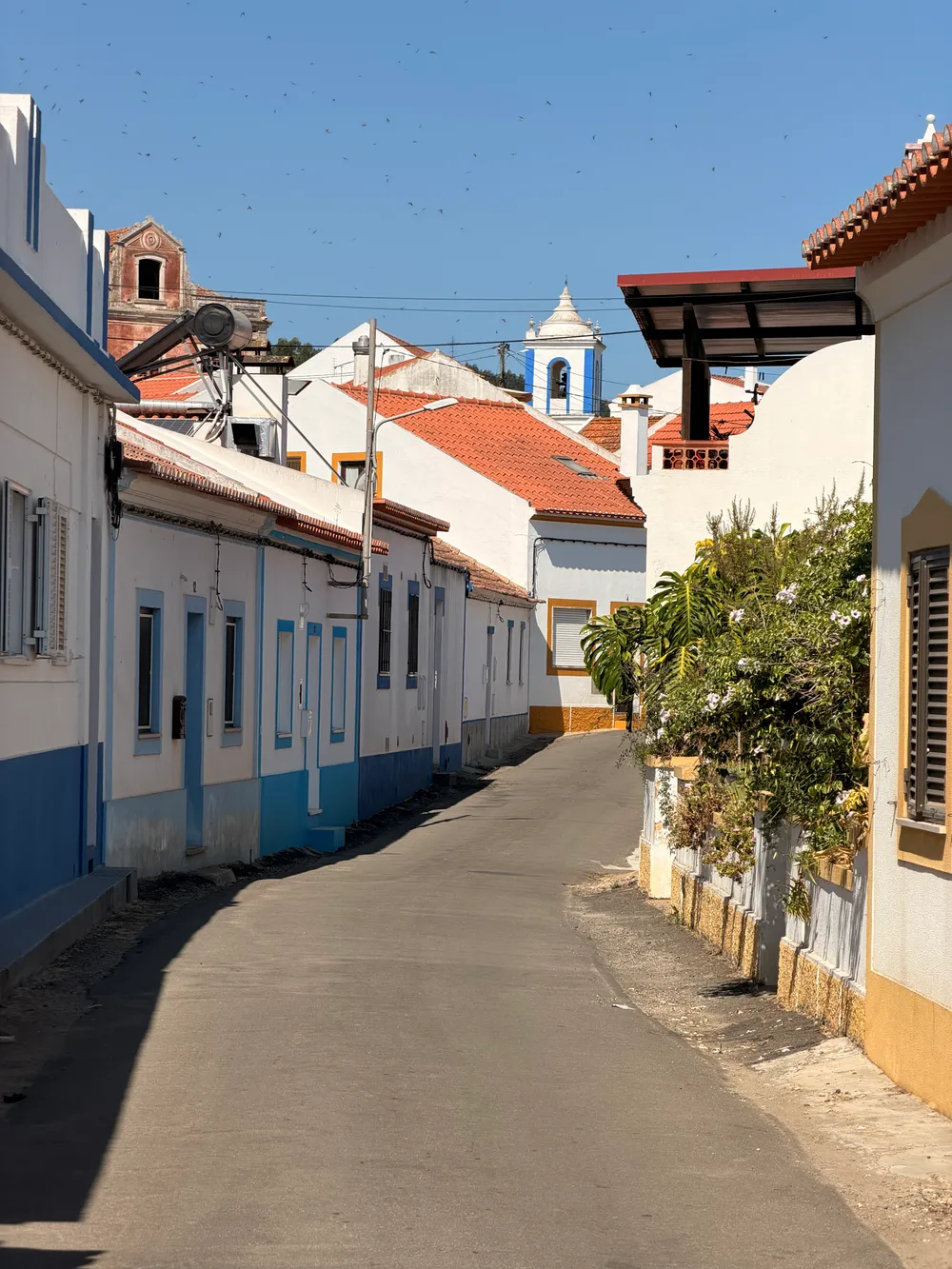 A quiet São Luís street of whitewashed houses trimmed in blue with terracotta roofs, a flowering shrub and the village church tower in the distance